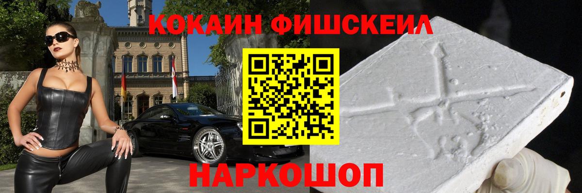 COCAIN Fish Scale  Вход с VPN  Сосновый Бор 